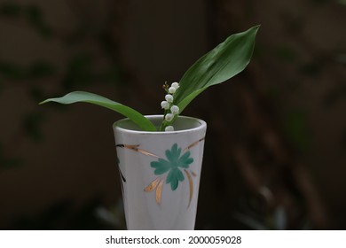 Lily of the valley in a pot with a drawing on it. The picture was taken the 1 may 2021 in my garden in Versailles, France. - Shutterstock ID 2000059028