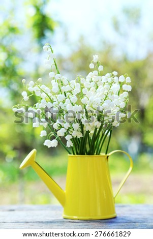 Lily of the Valley in watering can on grey wooden background, outdoors