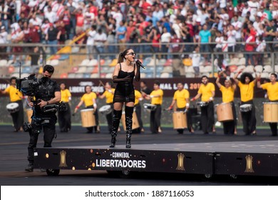 Lima, Peru, Novembro 23, 2019: Flamengo X River Plate In The Single Final Of The Libertadores De America Cup 2019 At The Monumental Stadium 