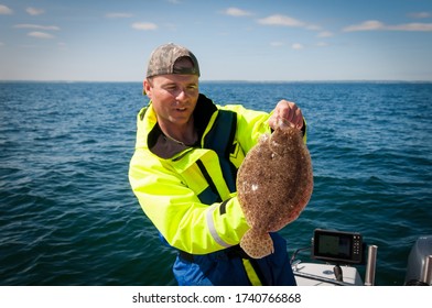 Limanda flounder in angler's hands