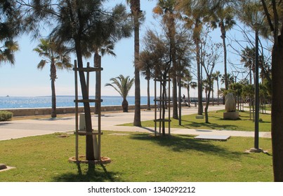 Limassol, Cyprus, March 8th, 2019: View of the Molos promenade with palm trees and green grass
