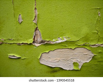 Lime Green Paint Peeling Off Of A Wall To Reveal The White Wall Underneath.  Image Has Copy Space.  
