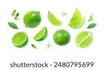 Lime has water drop with lime slices and flower collection isolated on white background. Clipping path.