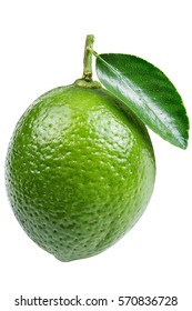 Lime Isolated On White Background