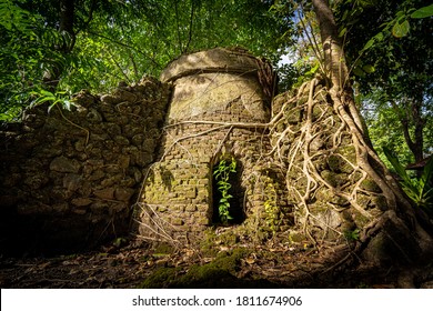 Lime Mortar Oven Overgrown In Jungle