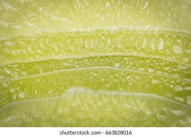 lime segment macro
