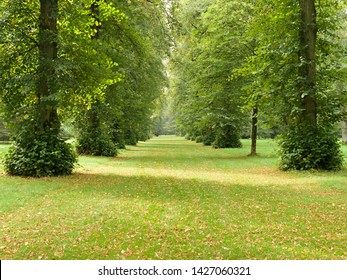 Lime Tree Avenue, Westonbirt Arboretum, Gloucestershire, England, UK.