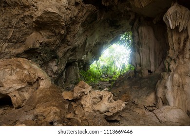 Limestone Caves In The Jungle, Belize