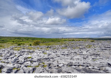 Limestone Field In The Burren, Ireland.