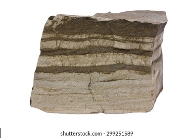 Limestone With Mudstone Layers. Width Of Sample 9 Cm.