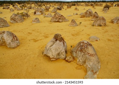 Limestone Pillars, Amazing Rock Formations In The Desert