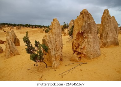 Limestone Pillars, Amazing Rock Formations In The Desert