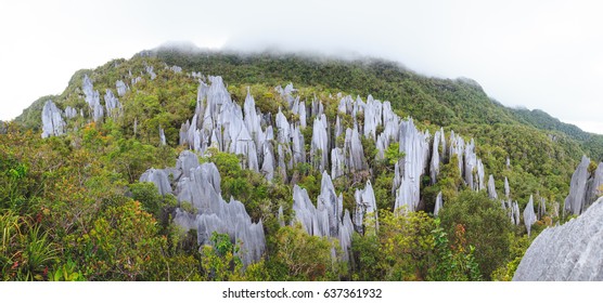 Gunung Mulu National Park Images Stock Photos Vectors