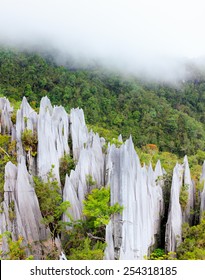 Limestone Pinnacles At Gunung Mulu National Park