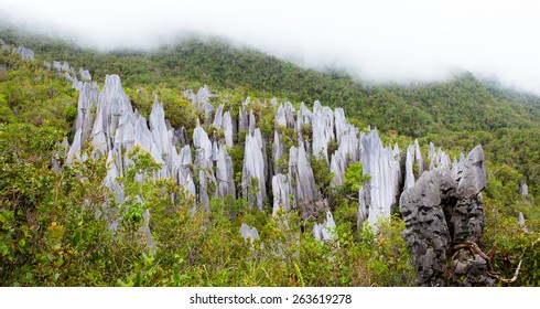 Limestone Pinnacles At Gunung Mulu National Park