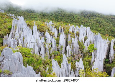 Limestone Pinnacles At Gunung Mulu National Park