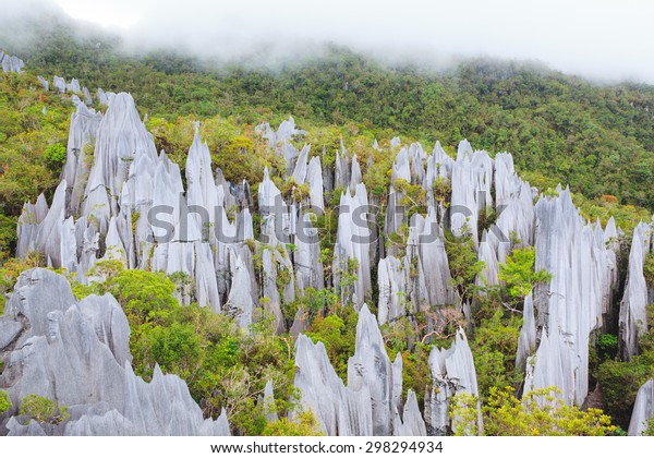 Limestone Pinnacles Gunung Mulu National Park Stock Photo