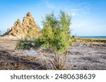 Limestone prehistoric chimneys geological rock formations at the bottom of dried lake, salt lake Abbe, Dikhil region, Djibouti