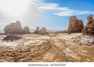 Limestone prehistoric chimneys geological rock formations at the bottom of dried lake, salt lake Abbe, Dikhil region, Djibouti