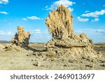 Limestone prehistoric chimneys rock formations, salt lake Abbe, Dikhil region, Djibouti