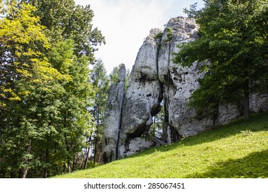 Limestone rock
