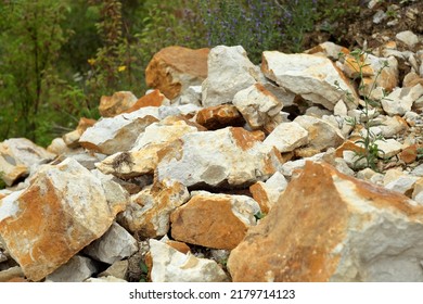 Limestone rock in a closed quarry in the Vistula river valley in the middle course.