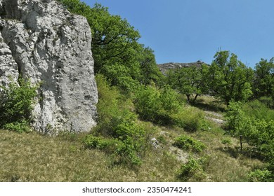 Limestone rock in Pavlov Hills (Czech Republic)