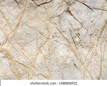 A limestone rock surface with a lot of asperities and cracks