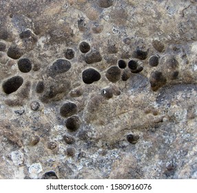 Limestone rocks with holes near Mediterranean sea                               
