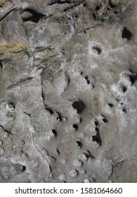 Limestone rocks with salt near Mediterranean sea