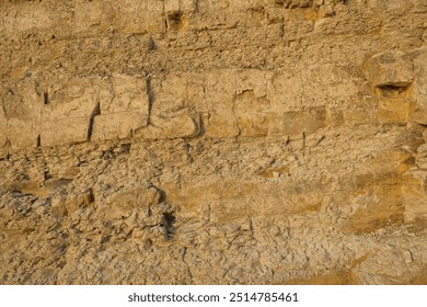 The limestone soil layer has abstract shapes, patterns and textures.The surface of the land is limestone. For graphic design or scientific research - Powered by Shutterstock