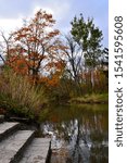 Limestone stairs going down to the river in autumn with the colors reflecting on the river surface in this Wisconsin October vertical scenic.  
