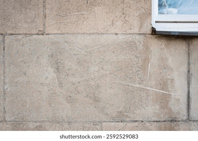 Limestone wall with multiple fossilized shells of extinct straight-shelled cephalopods from the Ordovician period. The corner of a window is visible in the upper right