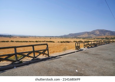 Linares, Chile, February 03, 2022: View Of A Dry Cereal Field From The Road At The End Of Summer After Harvest