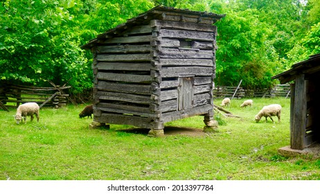 Lincoln Boyhood National Memorial - Lincoln Living Historical Farm. Sheep Around Log Structure Used To Store Livestock Feed. Site Preserves Farm Site Where Abraham Lincoln Grew Up In Indiana.