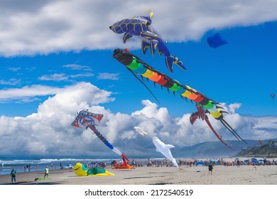 Lincoln City, Oregon - 6-26-2022:  Crows Of People Watching Huge Kites Flying Over The Beach At A Festival Near Lincoln City On The Oregon Coast.