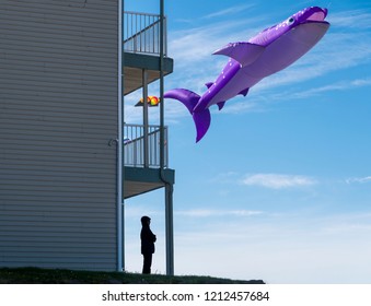 Lincoln City, Oregon - October 6, 2018: Silhouette Of A Person Standing On A Hill Watching A Large Purple Whale Kite Flying In Windy Blue Sky Along The Ocean Coast. 