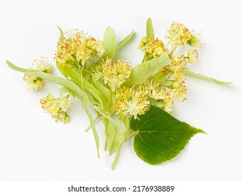 60,753 Linden background Images, Stock Photos & Vectors | Shutterstock