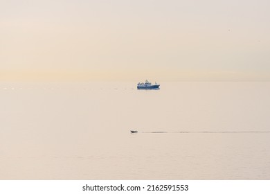 Lindesnes, Norway - April 16 2022: Nearly 90 Meters Long Pelagic Trawler HG 264 Ruth Passing Lindesnes Fyr On Calm Seas.