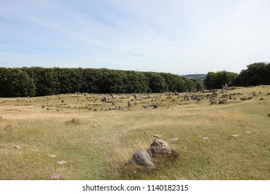 Lindholm Høje, Denmark. Viking Burial Site.