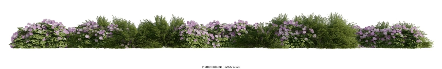 line bushes and flowers isolated on white background 