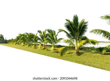 269,208 Shade Of Tree Images, Stock Photos & Vectors | Shutterstock