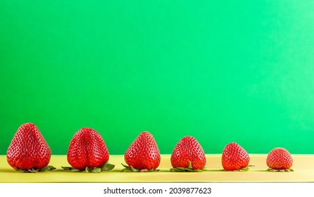 A line up of different sizes of ripe fresh strawberies on yellow and green background with copy space. Concept image for hybrid species of fruits with large and small varieties.