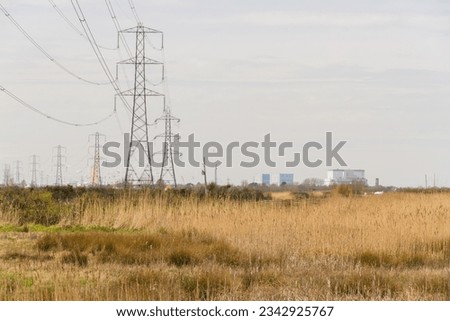 Line of electric pylons into distance above countryside, Hinkley Point Nuclear Power Station in distance, landscape
