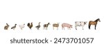Line of farm animals including a horse, cow, pig, sheep, goat, goose, rooster, hen, duck, and rabbit