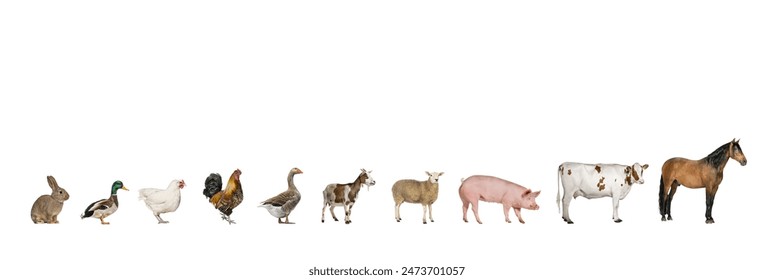 Line of farm animals including a horse, cow, pig, sheep, goat, goose, rooster, hen, duck, and rabbit