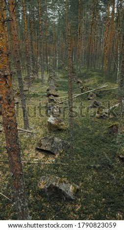 Line fortifications for defense against tanks during World War 2. Aerial view. Karelia