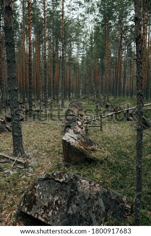Line fortifications for defense against tanks during World War 2. Karelia
