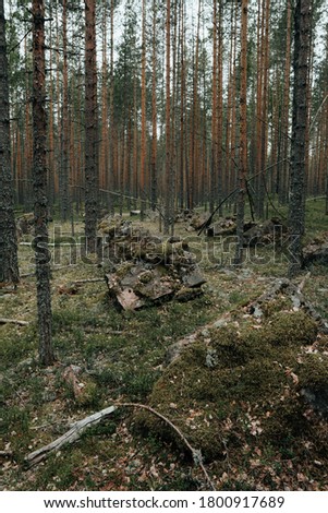 Line fortifications for defense against tanks during World War 2. Karelia