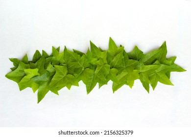 A Line Of Green Ivy Leaves On A White Background. Ivy Leaf Frame Border. Linear Element For Frame Design.